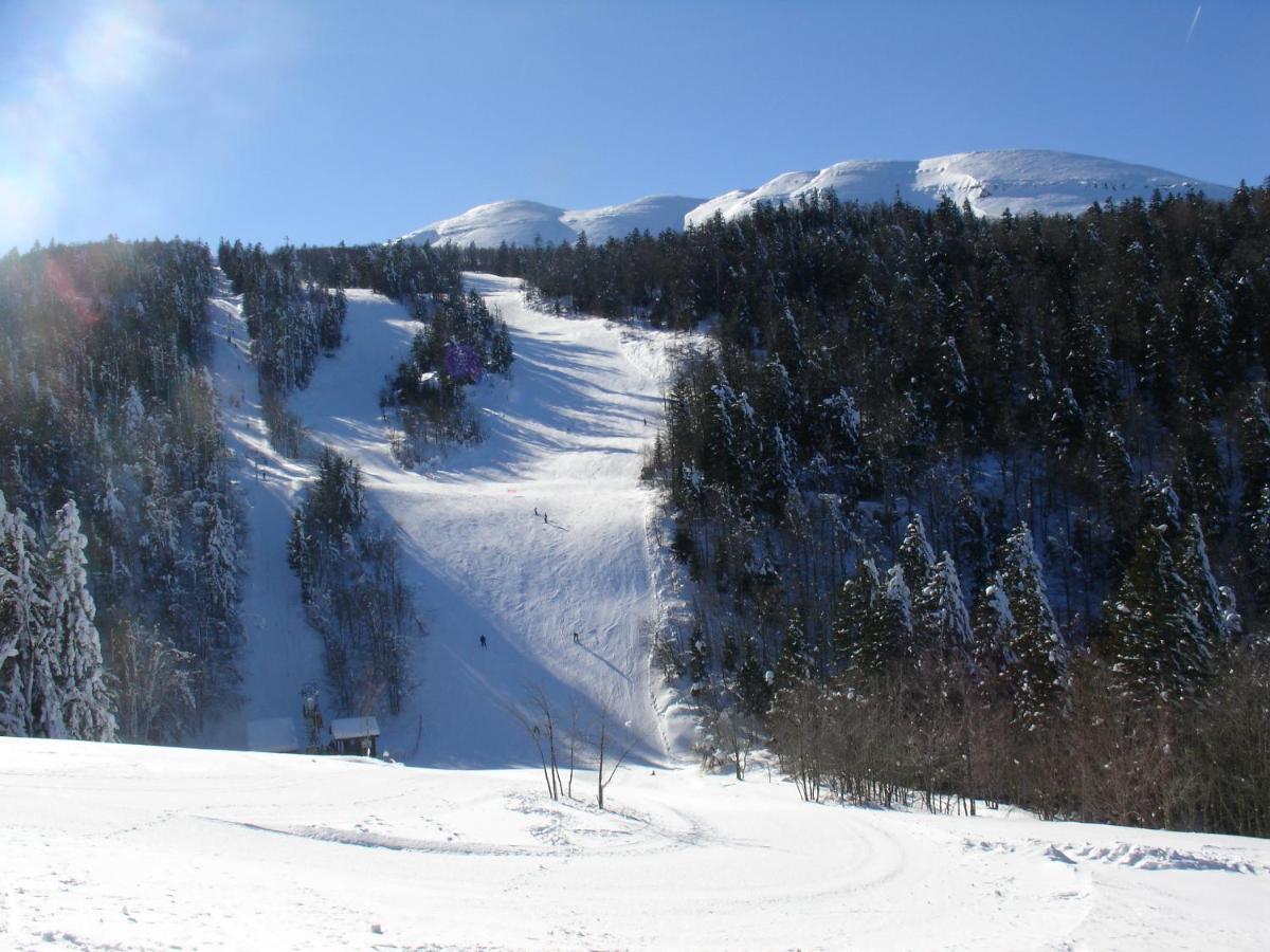 Hotel Du Col De La Machine Saint-Jean-en-Royans Exterior photo